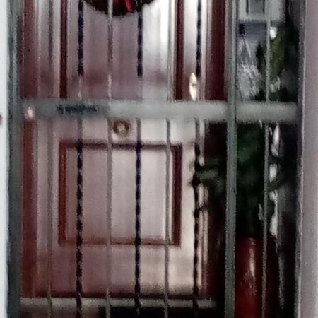 Shared Accommodation A Room With A View Of The Garden Seville Exterior photo